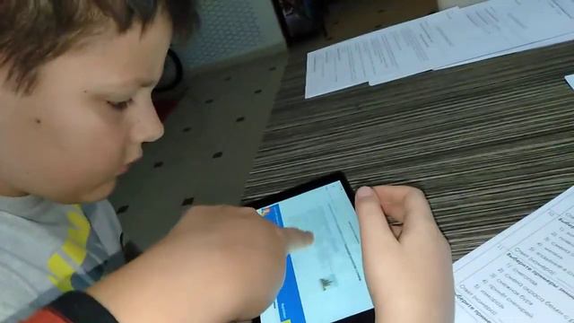 Тесты окружающий мир, 1 день