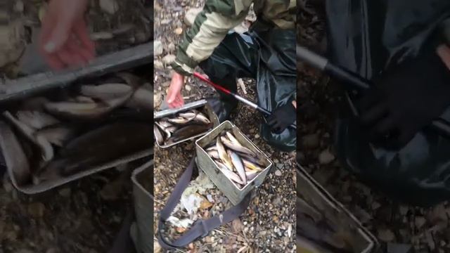 Рыбалка в ЕАО на хариуса и ленка 2017 смотреть онлайн