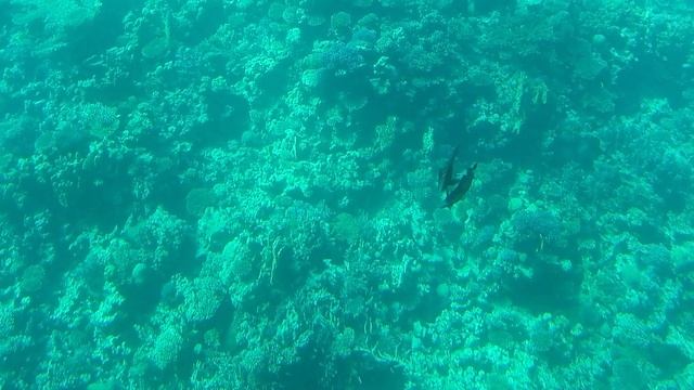 Мы В ШОКЕ ОТ УВИДЕННОГО В ЕГИПТЕ! MinaMark, Хургада 2023. Египет. На батискафе в Красном море