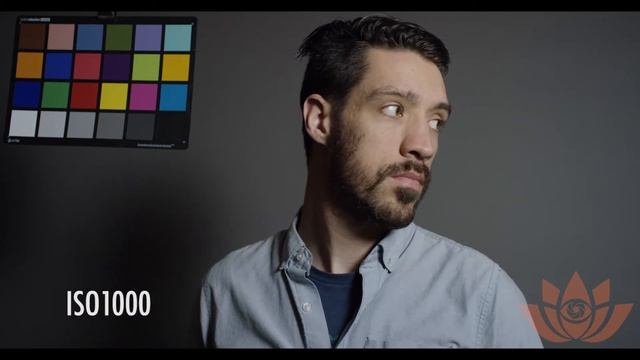 ISO Test on the RED Dragon - Quick Tips by Camera Ambassador смотреть онлайн