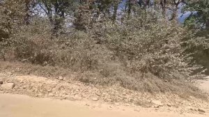 лазаревское 2024 часть 1