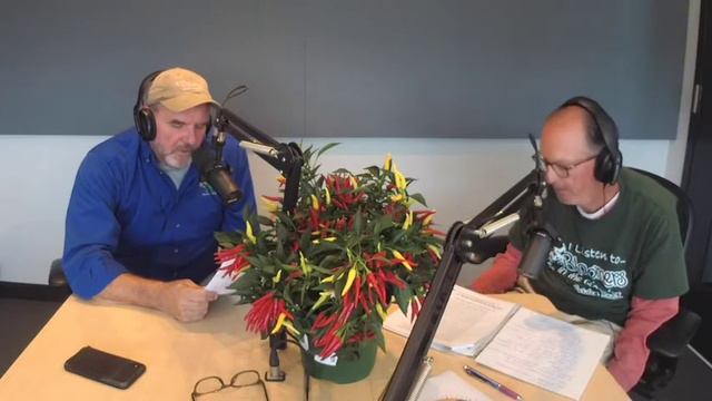 October, 02 2021- Puffball Mushrooms, Pruning Wisteria, Azalea In Full Bloom, Pansies, Spiders