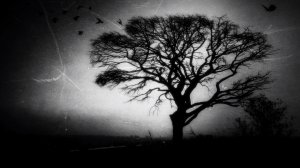 Doom Metal Compilation Part I