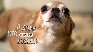 12 ЛЕТ С СОБАКОЙ ГУЛЯЛИ РАЗ В МЕСЯЦ!