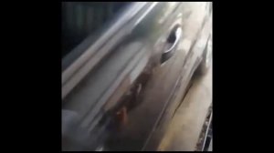 Отзыв владельца автомобиля Mercedes-Benz ML-350 2007 г.в. Двигатель M272