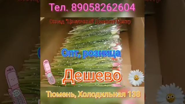 Доставка цветов и букетов в Тюмени на любую улицу и адрес смотреть онлайн