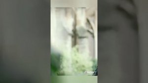 ФФ Драко и т/и"сестра Гарри Поттера "6 часть