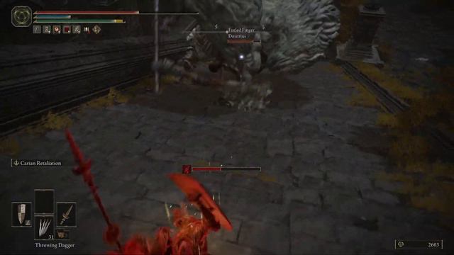 Invaded by Bloody Finger Cleanrot Knight | Elden Ring Invasion Log 4 смотреть онлайн