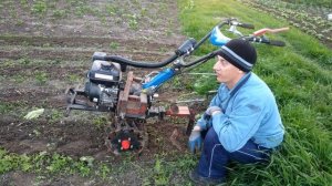 Прополка-рыхление мотоблоком междурядий картофеля по-простому