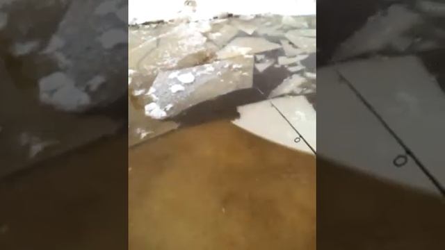 Зимняя рыбалка в Егорьевске смотреть онлайн