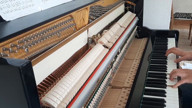 Across The Stars - John Williams, Patrik Pietschmann