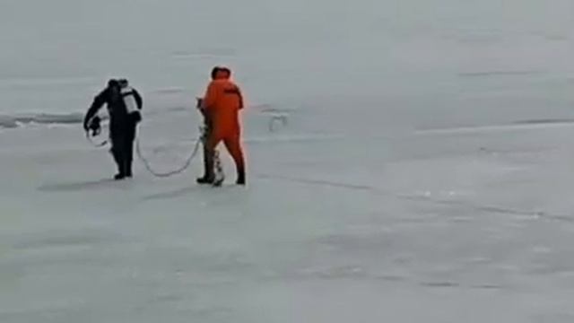 Вызволение из водного плена , снегоход 1 смотреть онлайн