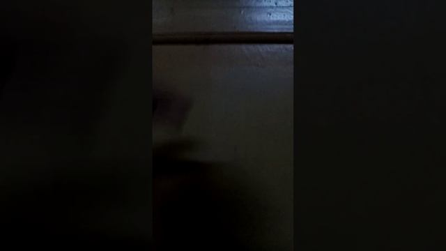 Вся Мамина работа в видео смотреть онлайн
