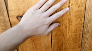 чем обработать дерево,самый дешевый и качественный вариант