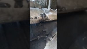 Как прокачать сцепление на гезели(1)