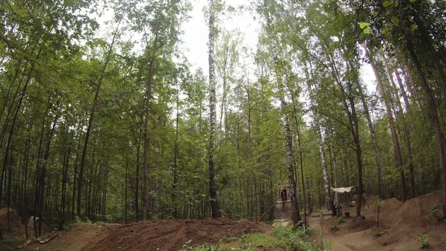заросли смотреть онлайн
