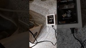 инкубатор suro20