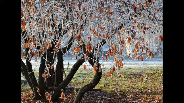 19 ноября Павел Ледостав, Варлаам Хутынский. Что категорически нельзя делать. Народные приметы. смотреть онлайн