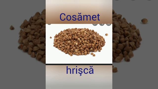 Ebraica Pentru Metapelet. Ivrit.ro Lecția 9