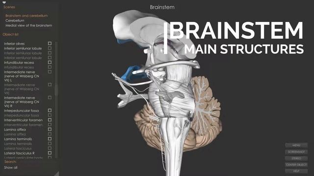 Атлас ЦНС человека