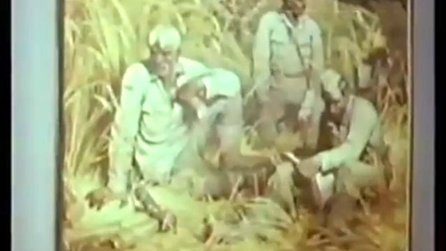 Отар ПГТ Гвардейский,74год смотреть онлайн