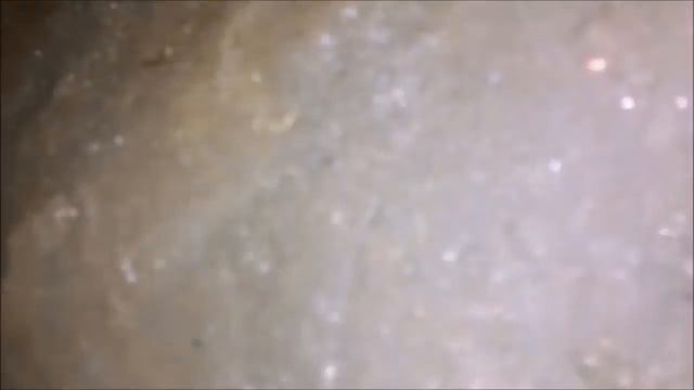 Кисели/каменоломня/экстрим/поход смотреть онлайн