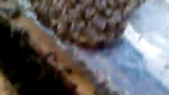 Как понять что семья весной готова к расширению смотреть онлайн