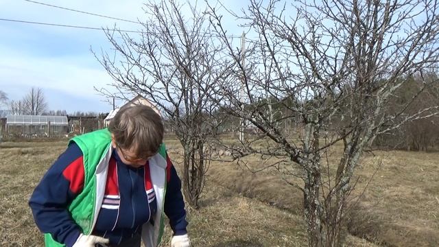 НА ДАЧЕ. Что происходит с рассадой.. смотреть онлайн