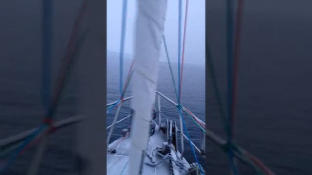 "Тёмная ночь" в Антарктиде. смотреть онлайн