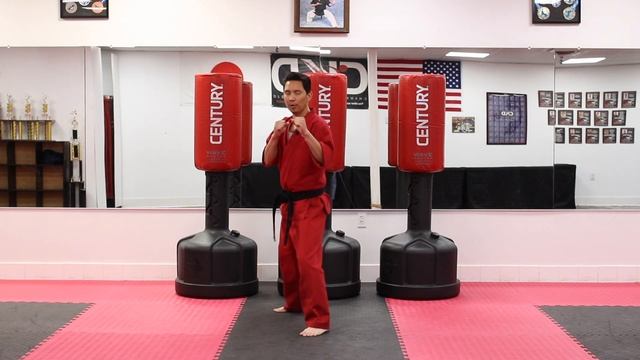 KARATE Lesson 33 - Karate Combo 13