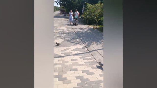 #парк #азовскоеморе #город #таганрог смотреть онлайн