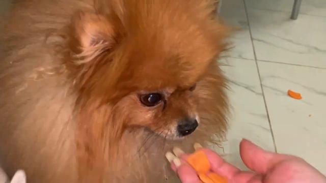 Хорошо поели, можно и полакомиться. смотреть онлайн