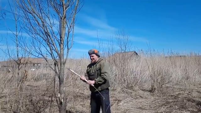 Прибился пёс\Я этот угол НЕ ПОКАЗЫВАЮ\Казалось ВЕСЁЛЫМ и МИЛЫМ\Мальчишки помогают\КОЗАМ ВКУСНО\ смотреть онлайн