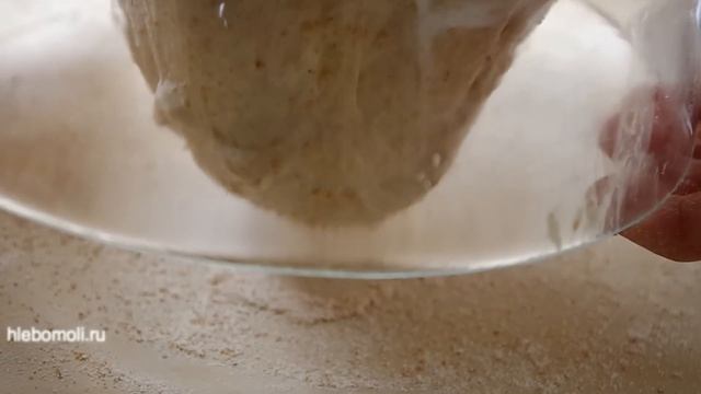 Пицца на закваске/Sourdough Pizza