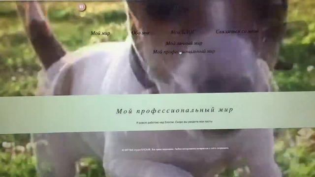 Заказать личный сайт by web KLOLIK смотреть онлайн