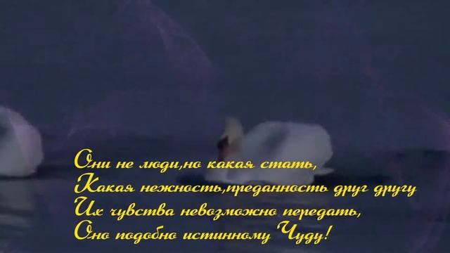 Лебединая верность смотреть онлайн