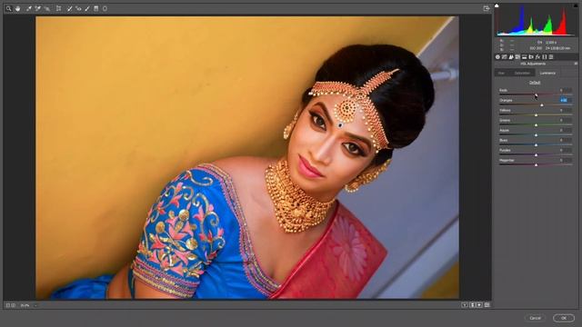 Adobe Photoshop CC Colour correction with Camera Raw(Tamil) смотреть онлайн