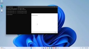 CMD исправить «Нет Интернета» в Windows 11 10 с помощью только 1 команды