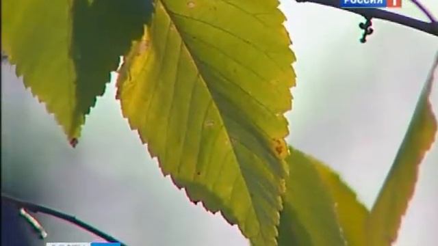 Потепления, дожей и снега на Дону пока не будет смотреть онлайн