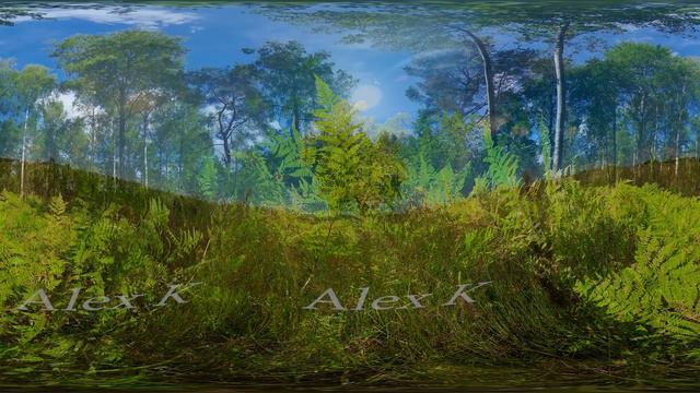 Nature Of Russia - VR 360 Video. Природа России.