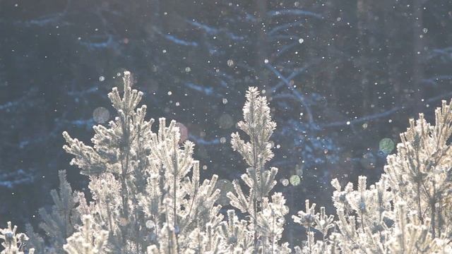 Магия зимы. Winter magic смотреть онлайн