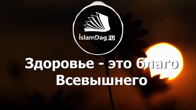 Почему прелюбодеяние – харам, если от этого никому нет никакого вреда смотреть онлайн