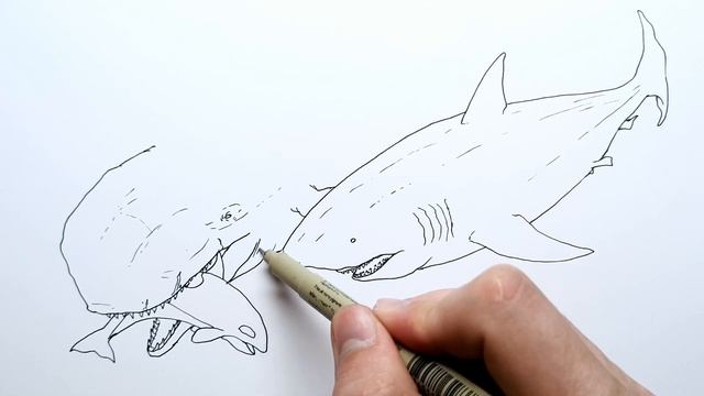 Livyatan vs Megalodon | How to Draw and Coloring Sea Battle смотреть онлайн
