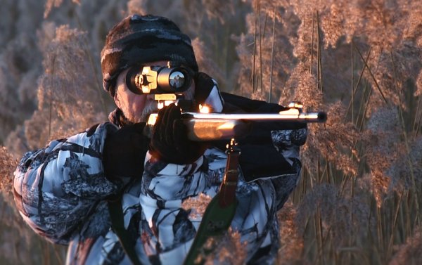 Лучший тепловизионный прицел DEDAL-T2.380 HUNTER