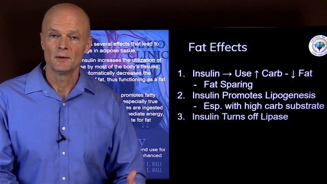 Your Doctor Is Wrong About Weight Loss смотреть онлайн