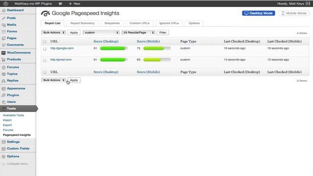 Google Pagespeed Insights for Wordpress: Custom URLs смотреть онлайн