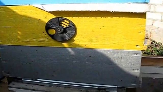 Объединение семьи пчёл с трутовкой(09-15.03.2014г) смотреть онлайн