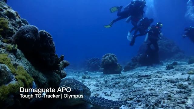 Tough TG-Tracker | Olympus Test Underwater video смотреть онлайн