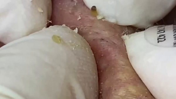 New Hope To Make Your Day More Wonderful # 366