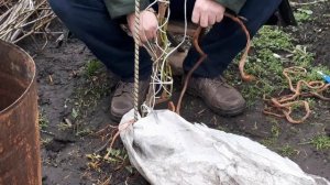 Как укрыть на зиму персик, нектарин